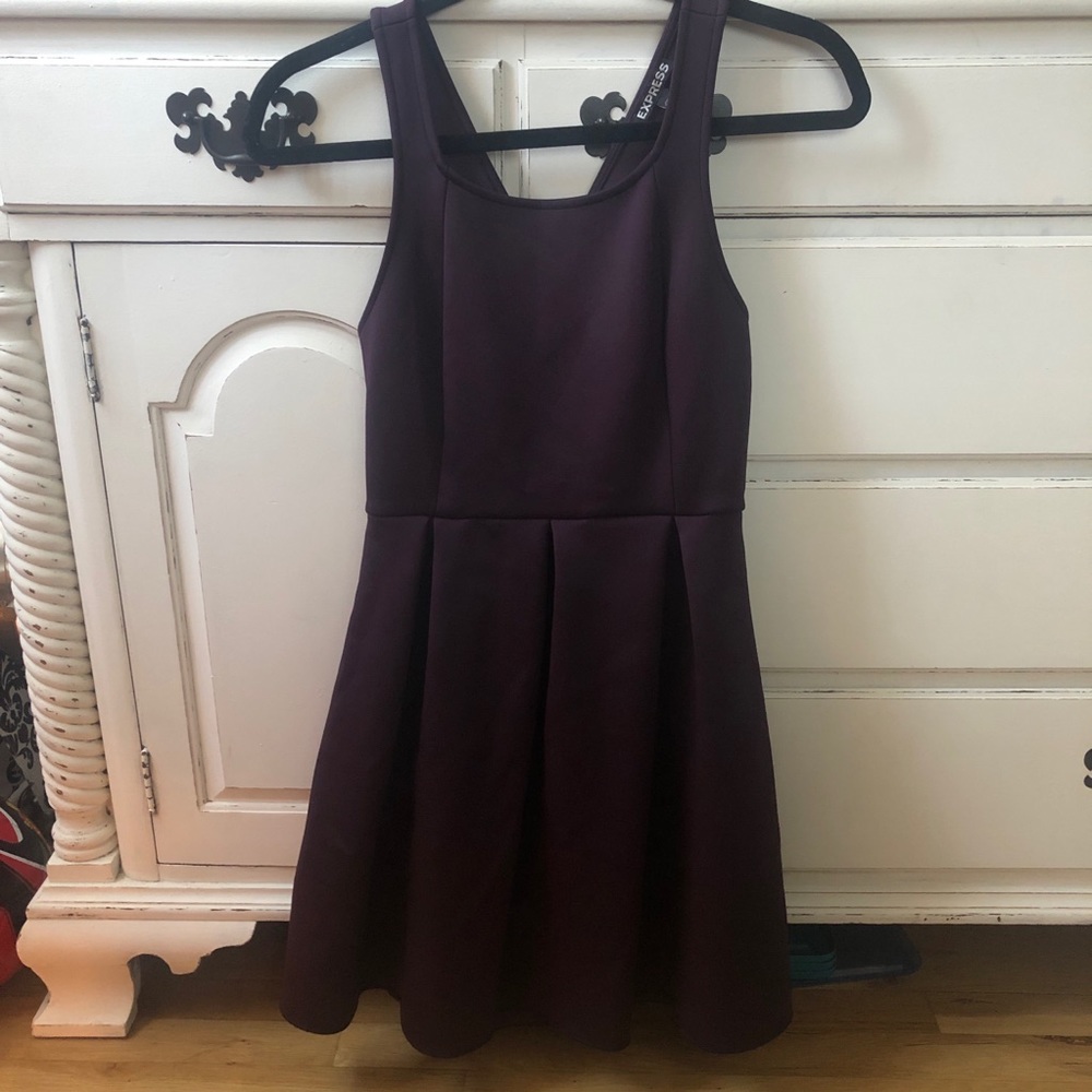 Express Plum Dress